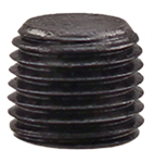 1/4^ Countersunk Black Hex Plug