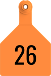 Stockman Large Tags. 25/pkg Orange Numbered 26-50
