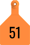 Stockman Large Tags. 25/pkg Orange Numbered 51-75