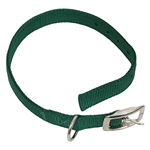 1^ x 24^ Green Calf Collar with Buckle