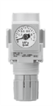 1/4^ NPT Air Regulator