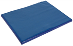 Disinfection Mat 55cm x 45cm x 3cm