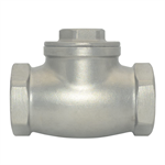 2^ Stainless Steel Swing Check Valve