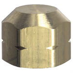 1/4^ Brass Hex Cap